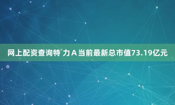 网上配资查询特 力Ａ当前最新总市值73.19亿元