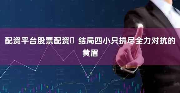 配资平台股票配资	结局四小只拼尽全力对抗的黄眉