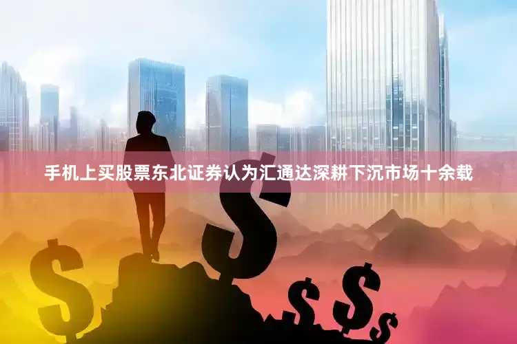 手机上买股票　　东北证券认为汇通达深耕下沉市场十余载
